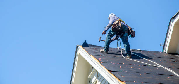 Roof Gutter Cleaning in Delano, CA